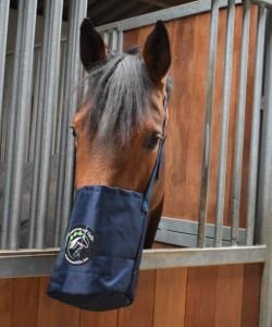 Mask'Eol - Chevaux (Shetland/Poney), pièce